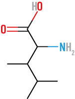 Leucine