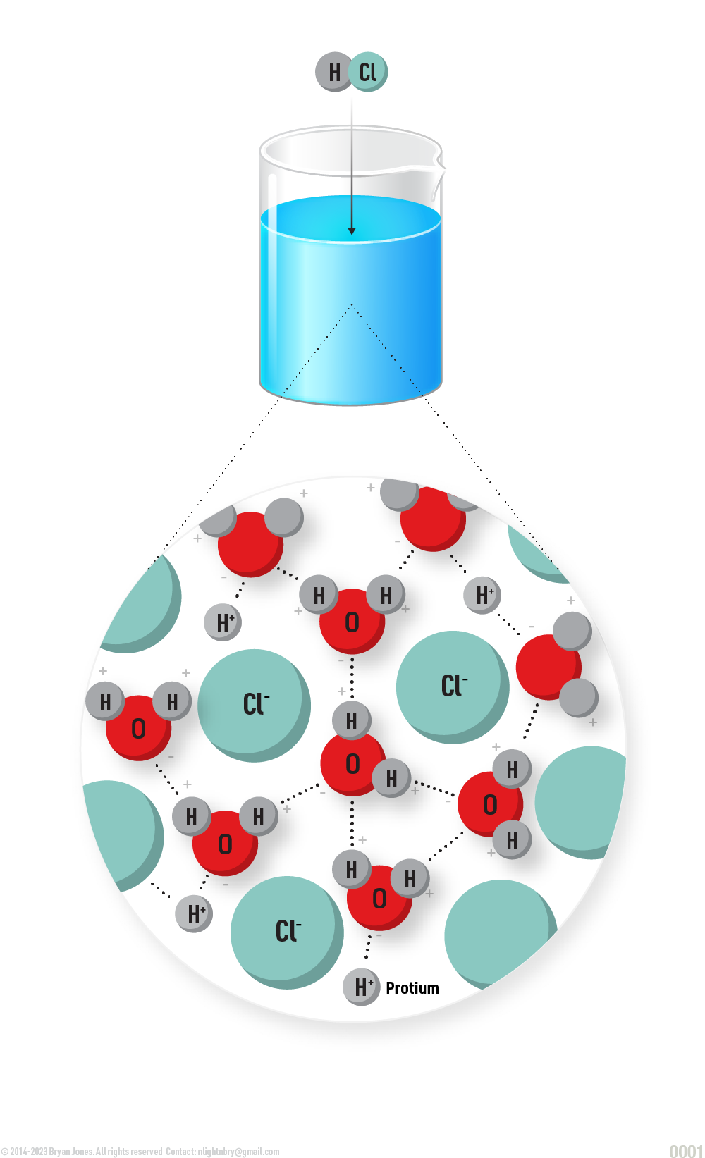  Hydrochloric acid (HCL) Molecule Graphic image diagram with an enlargement of the composition of the solution, showing how protium are situated between chloride atoms, which being electro-statically connected to water molecules. 