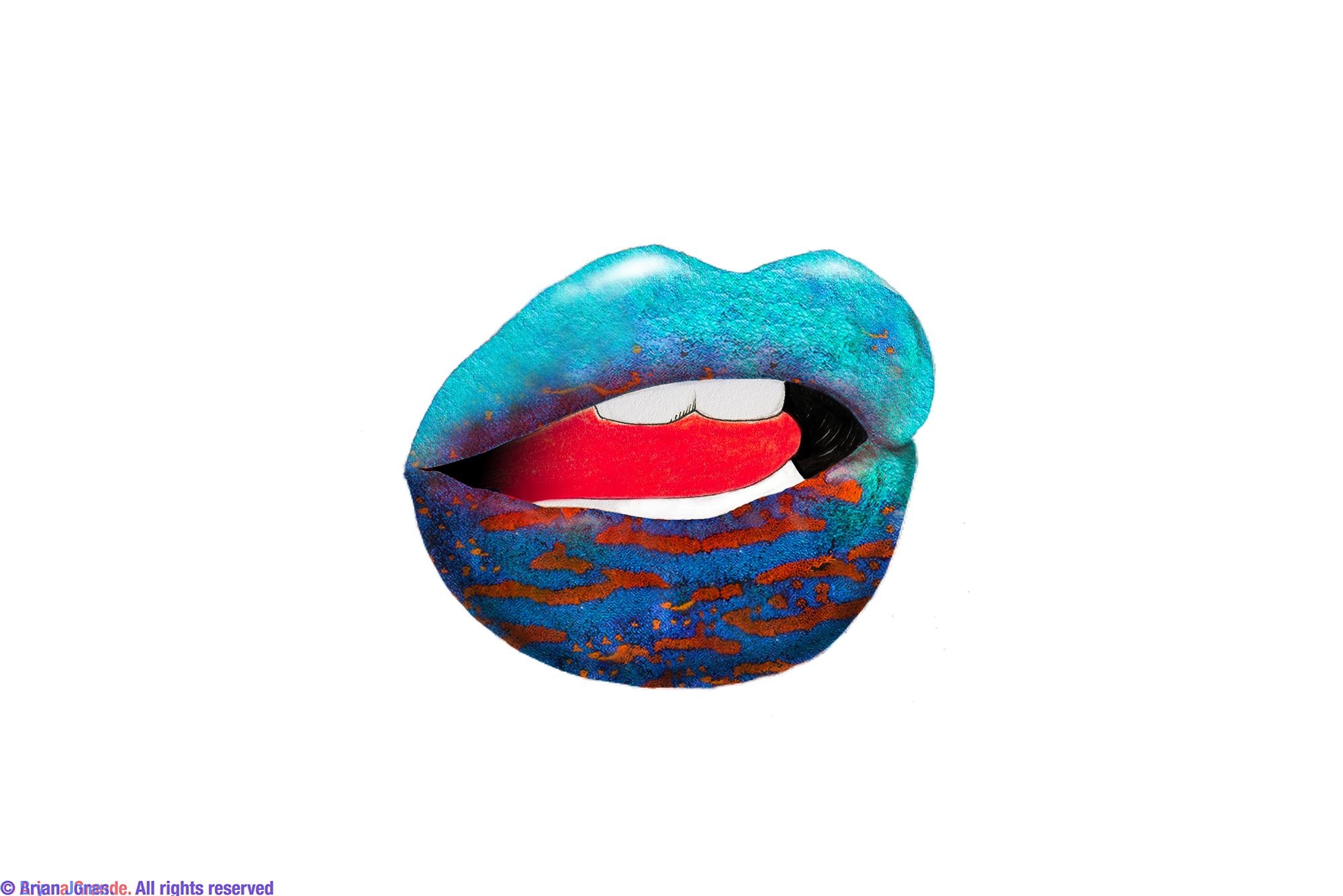 Maratus Gemmifer Flavored Lips