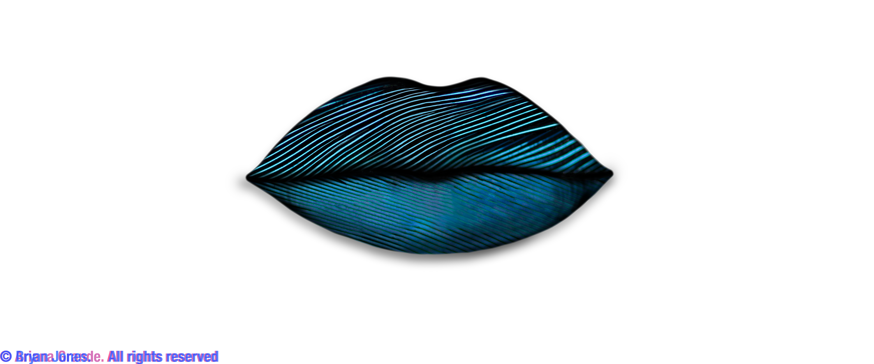 Lips made from bird feather